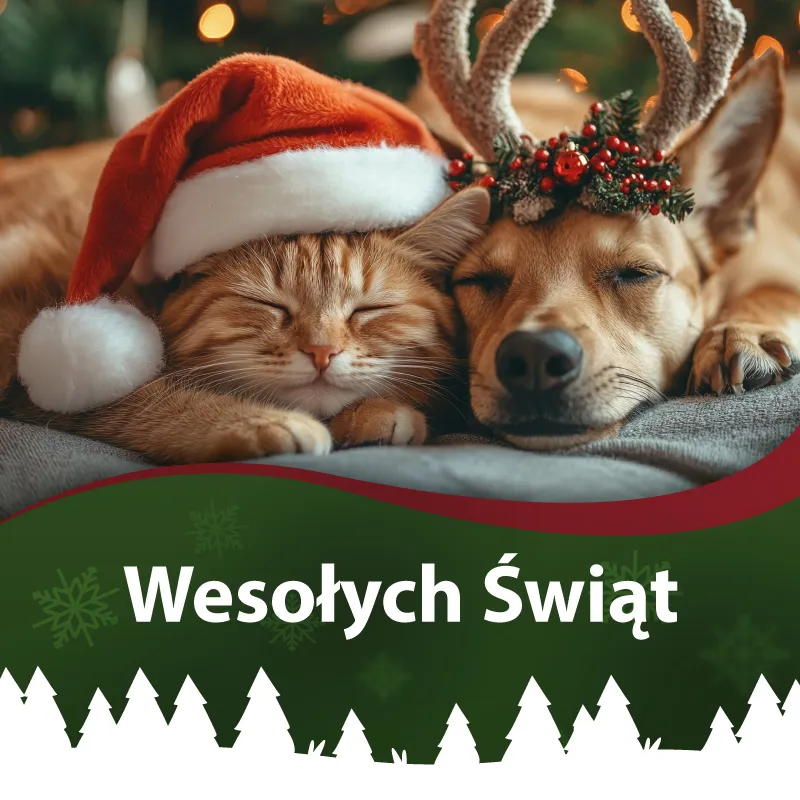 Wesołych świąt