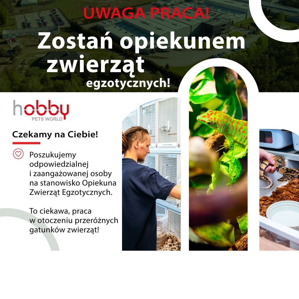 opiekunem zwierząt egzotycznych